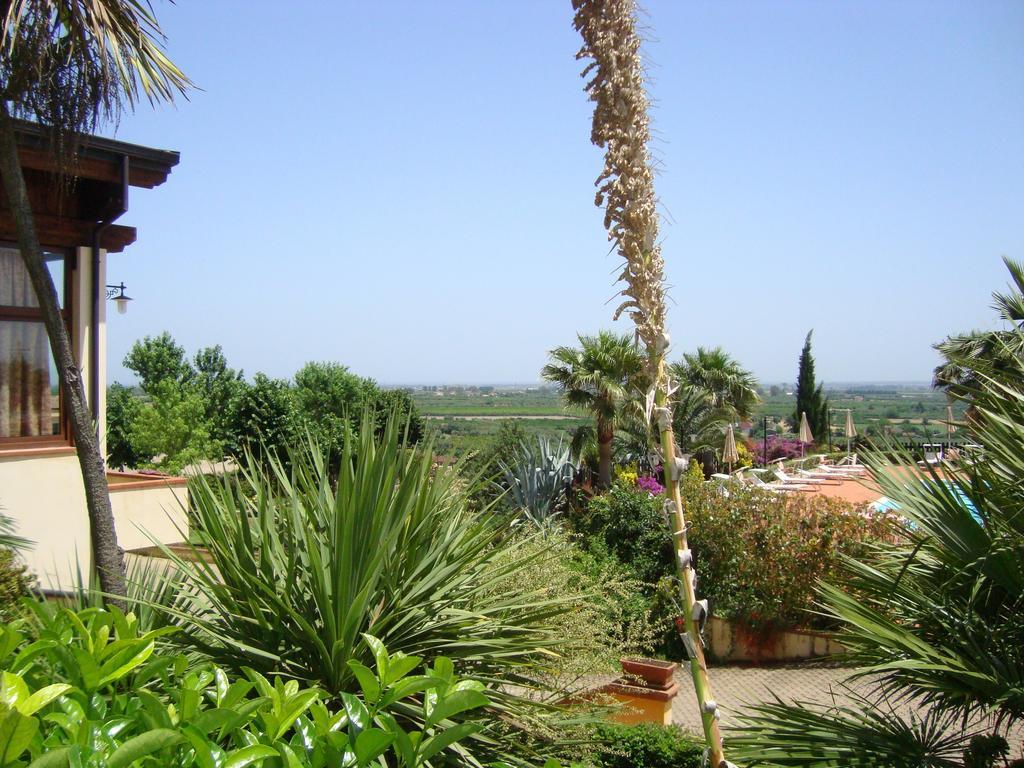 Tenuta Colle Degli Ulivi Сібарі Номер фото