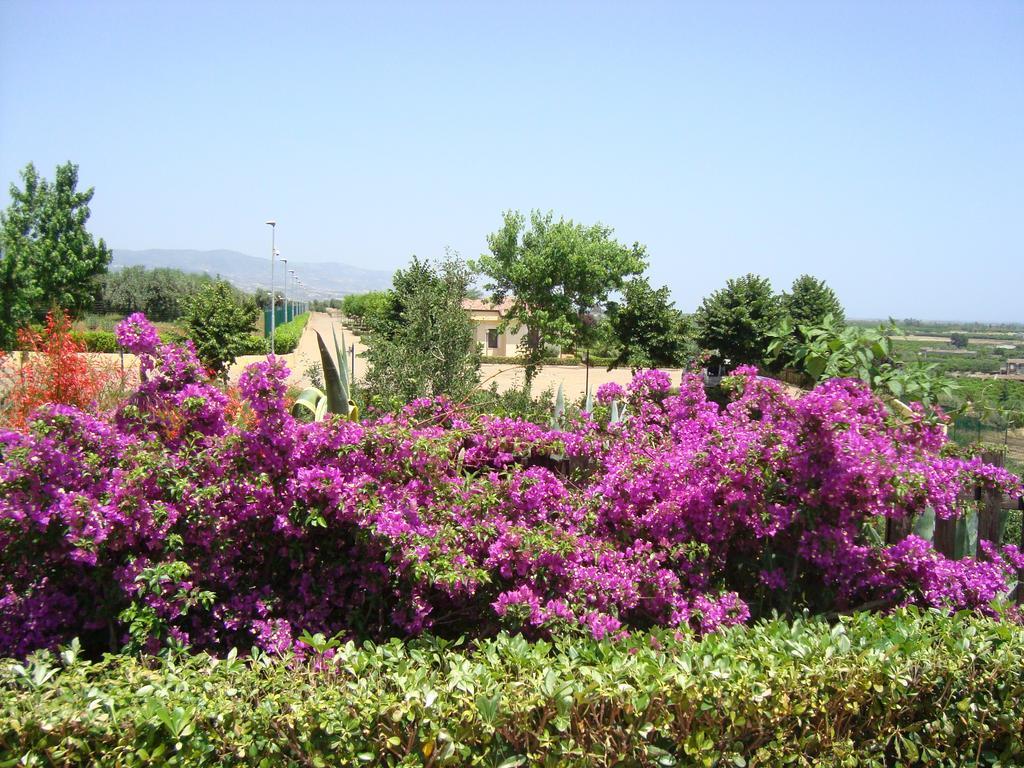 Tenuta Colle Degli Ulivi Сібарі Екстер'єр фото