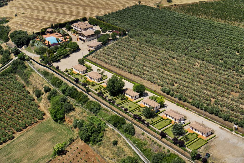 Tenuta Colle Degli Ulivi Сібарі Номер фото